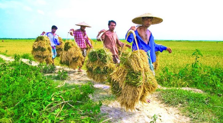 পূজোর আগেই কৃষকদের বড় উপহার: নিউট্রিসোর্স আনল 'ফার্ম সান্তা' অ্যাপ